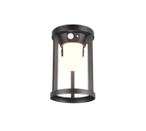 Aplique de exterior Trio Carmo LED negro mate solar 3000K regulable IP54 2410691
