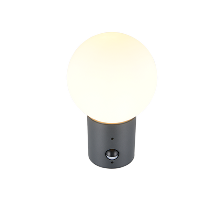 Aplique de exterior Trio Mures LED antracita 2700K IP44 269869142