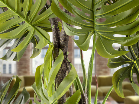 Planta artificial Schuller Monstera cemento 210cm vista 2
