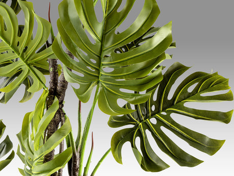 Planta artificial Schuller Monstera cemento 210cm vista 3