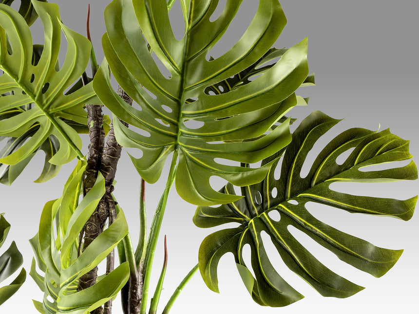 Planta artificial Schuller Monstera cemento 210cm vista 3