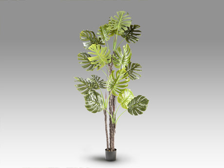 Planta artificial Schuller Monstera cemento 210cm vista 4
