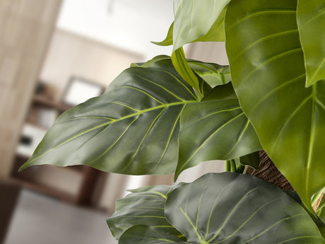 Planta artificial Schuller Taro cemento 150cm vista 2