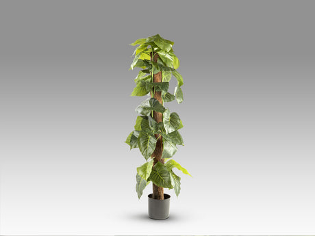 Planta artificial Schuller Taro cemento 150cm vista 4