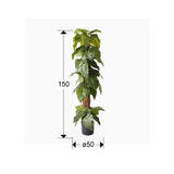 Planta artificial Schuller Taro cemento 150cm dimensiones