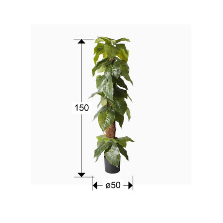 Planta artificial Schuller Taro cemento 150cm dimensiones