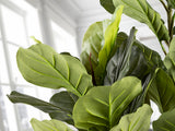Planta artificial Schuller Higuera Violín cemento 200cm 281232 - imagen 4