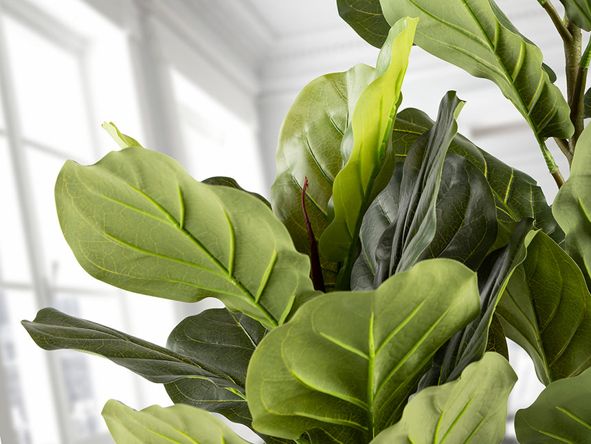 Planta artificial Schuller Higuera Violín cemento 200cm 281232 - imagen 4