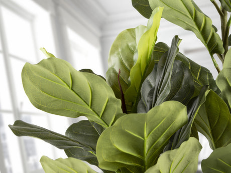 Planta artificial Schuller Higuera Violín cemento 200cm vista 2