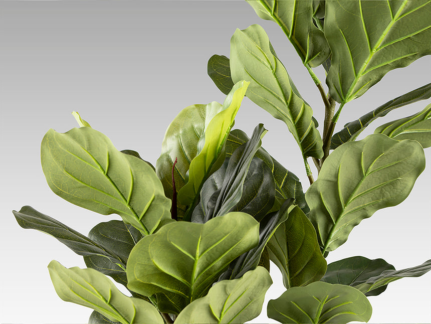 Planta artificial Schuller Higuera Violín cemento 200cm 281232 - imagen 5