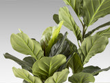 Planta artificial Schuller Higuera Violín cemento 200cm vista 3