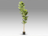 Planta artificial Schuller Higuera Violín cemento 200cm 281232 - imagen 6