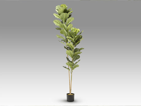 Planta artificial Schuller Higuera Violín cemento 200cm vista 4