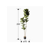 Planta artificial Schuller Higuera Violín cemento 200cm dimensiones
