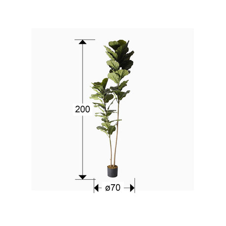 Planta artificial Schuller Higuera Violín cemento 200cm dimensiones