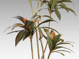 Planta artificial Schuller Dracena Roja cemento 220cm vista 3