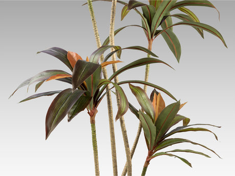 Planta artificial Schuller Dracena Roja cemento 220cm vista 3