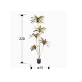 Planta artificial Schuller Dracena Roja cemento 220cm dimensiones