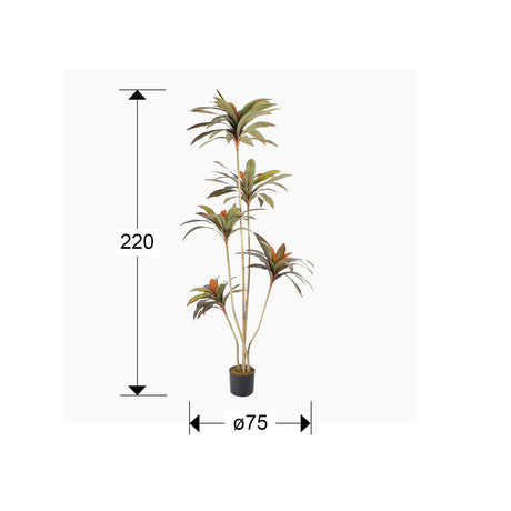 Planta artificial Schuller Dracena Roja cemento 220cm dimensiones