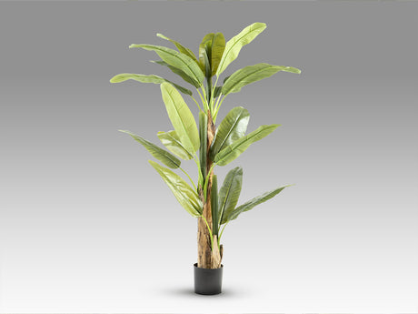Planta artificial Schuller Platanera plata cemento 180cm vista 4