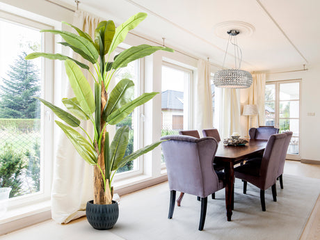 Planta artificial Schuller Platanera plata cemento 180cm 281461