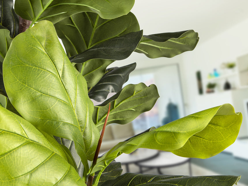 Planta artificial Schuller Higuera Violín cemento 250cm vista 2