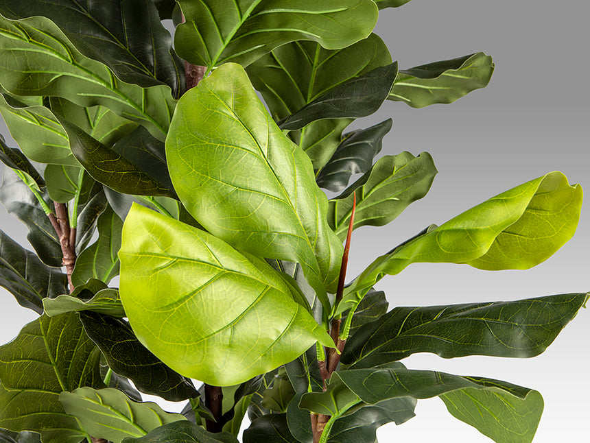 Planta artificial Schuller Higuera Violín cemento 250cm 281577 - imagen 5