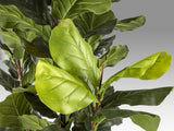Planta artificial Schuller Higuera Violín cemento 250cm vista 3