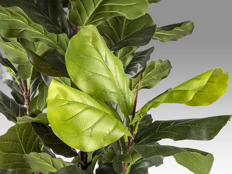 Planta artificial Schuller Higuera Violín cemento 250cm vista 3