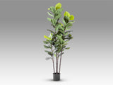 Planta artificial Schuller Higuera Violín cemento 250cm vista 4