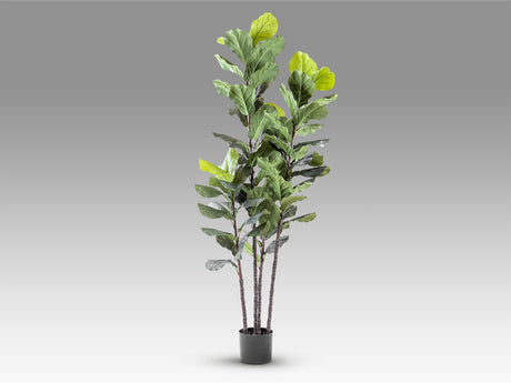 Planta artificial Schuller Higuera Violín cemento 250cm vista 4