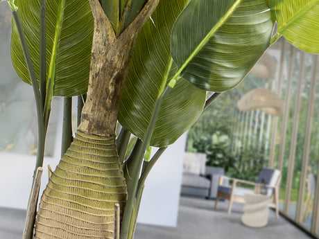 Planta artificial Schuller Ave Paraíso cemento 250cm vista 2