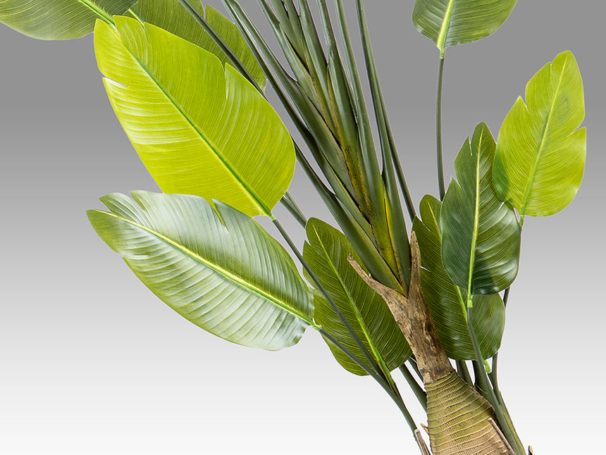 Planta artificial Schuller Ave Paraíso cemento 250cm 281690 - imagen 5