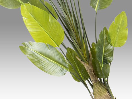 Planta artificial Schuller Ave Paraíso cemento 250cm vista 3