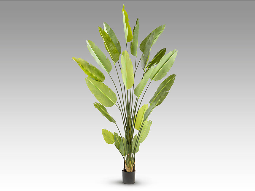 Planta artificial Schuller Ave Paraíso cemento 250cm 281690 - imagen 6