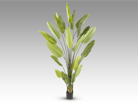 Planta artificial Schuller Ave Paraíso cemento 250cm vista 4