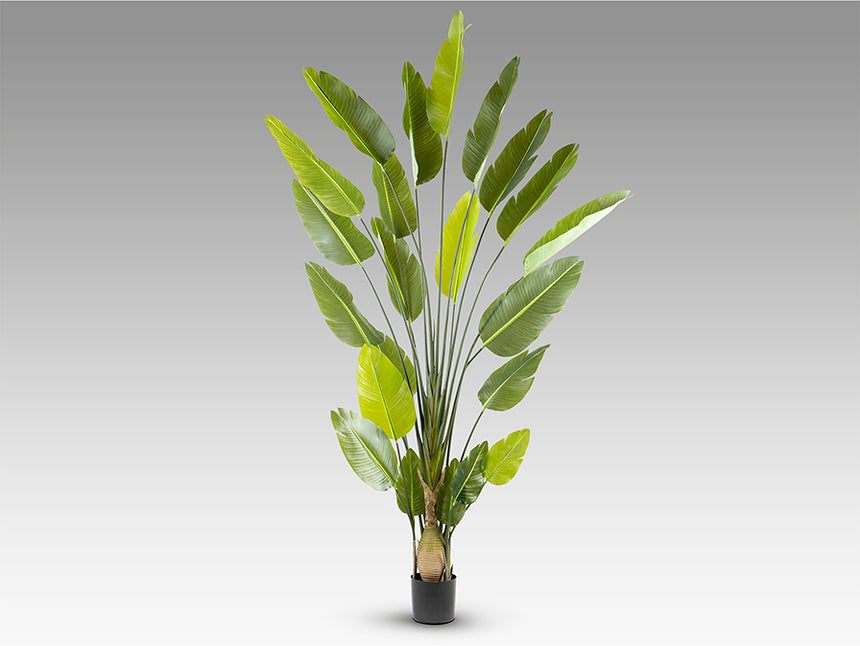 Planta artificial Schuller Ave Paraíso cemento 250cm 281690 - imagen 7