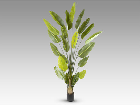 Planta artificial Schuller Ave Paraíso cemento 250cm vista 5