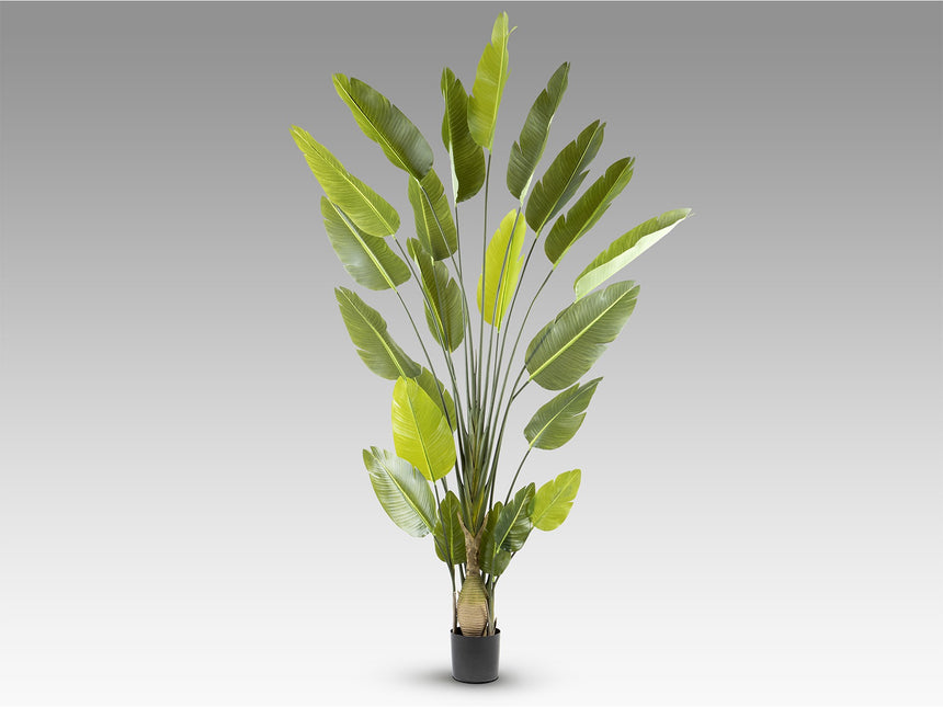 Planta artificial Schuller Ave Paraíso cemento 250cm vista 5