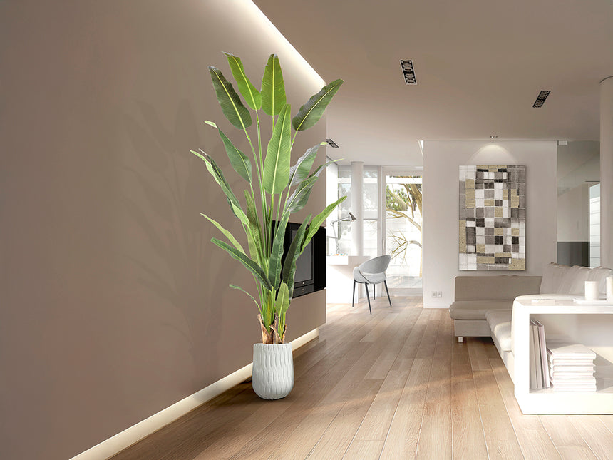 Planta artificial Schuller Palma Viajero cemento 240cm 281751 - vista alternativa