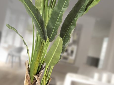 Planta artificial Schuller Palma Viajero cemento 240cm vista 2