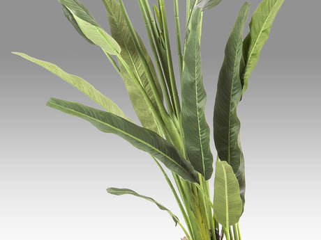 Planta artificial Schuller Palma Viajero cemento 240cm vista 3