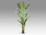 Planta artificial Schuller Palma Viajero cemento 240cm 281751 - imagen 6