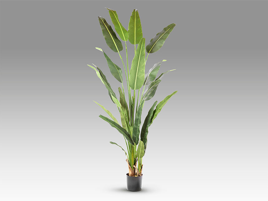 Planta artificial Schuller Palma Viajero cemento 240cm 281751 - imagen 6