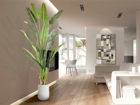 Planta artificial Schuller Palma Viajero cemento 240cm 281751