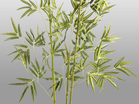 Planta artificial Schuller Bambú cemento 170cm vista 3