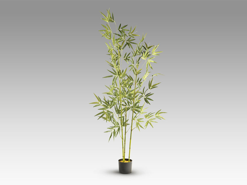 Planta artificial Schuller Bambú cemento 170cm vista 5