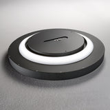 Ideal Lux Fly - ZOO002