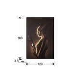 Cuadro con luz LED Schuller Silueta negro 120x180cm dimensiones