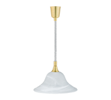 Lámpara de techo colgante Trio Viola bronce mate 130cm 301700108